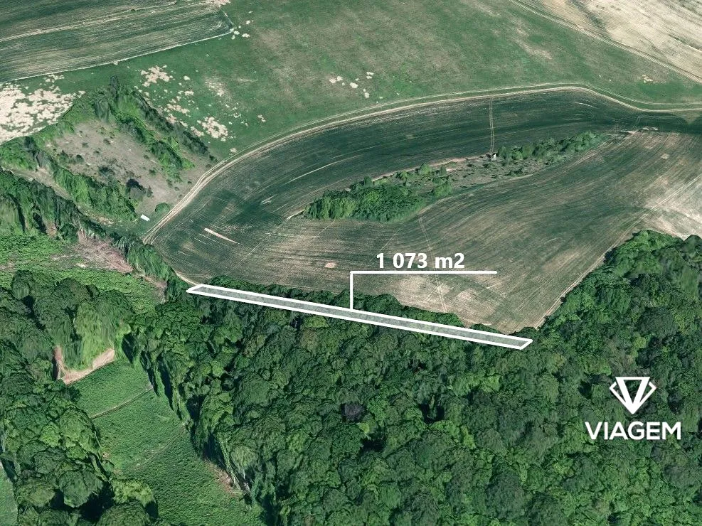 Prodej lesa 1073 m²
